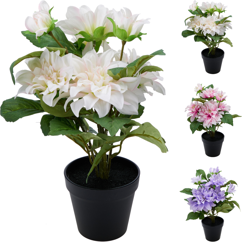 Blóm Dahlia 28x42cm - Koopman