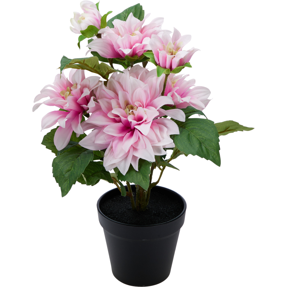 Blóm Dahlia 28x42cm - Koopman - Image 3