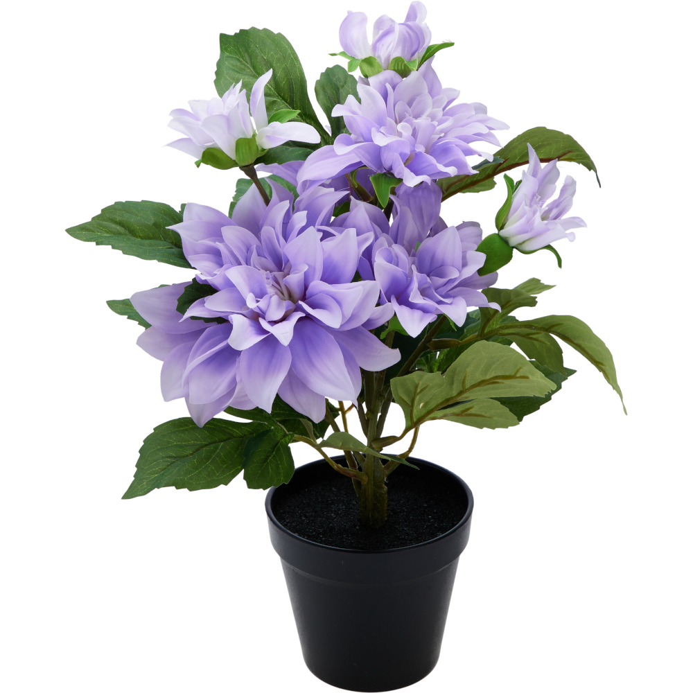 Blóm Dahlia 28x42cm - Koopman - Image 4